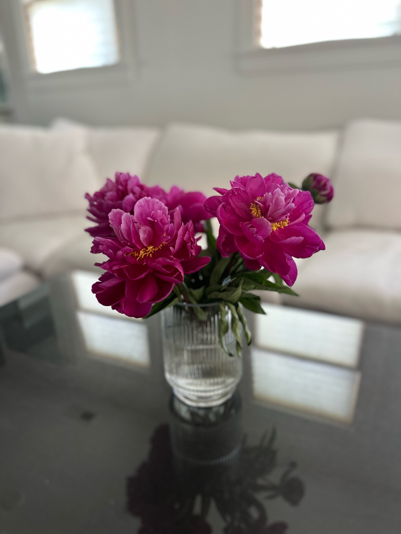 Favorite vases 💐

#LTKHome #LTKSeasonal #LTKFindsUnder50