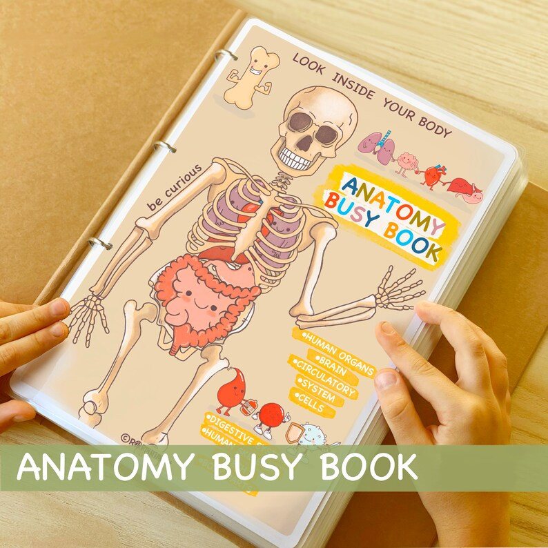 Human Anatomy Busy Book Printable Preschool Worksheets Homeschool Resources Anatomy Preschool Cur... | Etsy (US)
