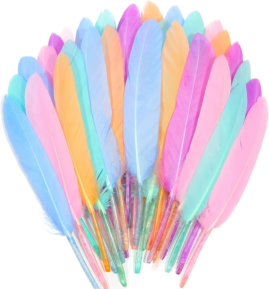 FeelfunFeather 120pcs Macaron Goose Cochettes Feather 4-6 inch 10-15cm Bulk Natural for Wedding P... | Amazon (US)