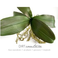 Lg. Faux Orchid, Orchid Plant, Phalaenopsis, Leaves, Roots, Silk Plant | Etsy (US)