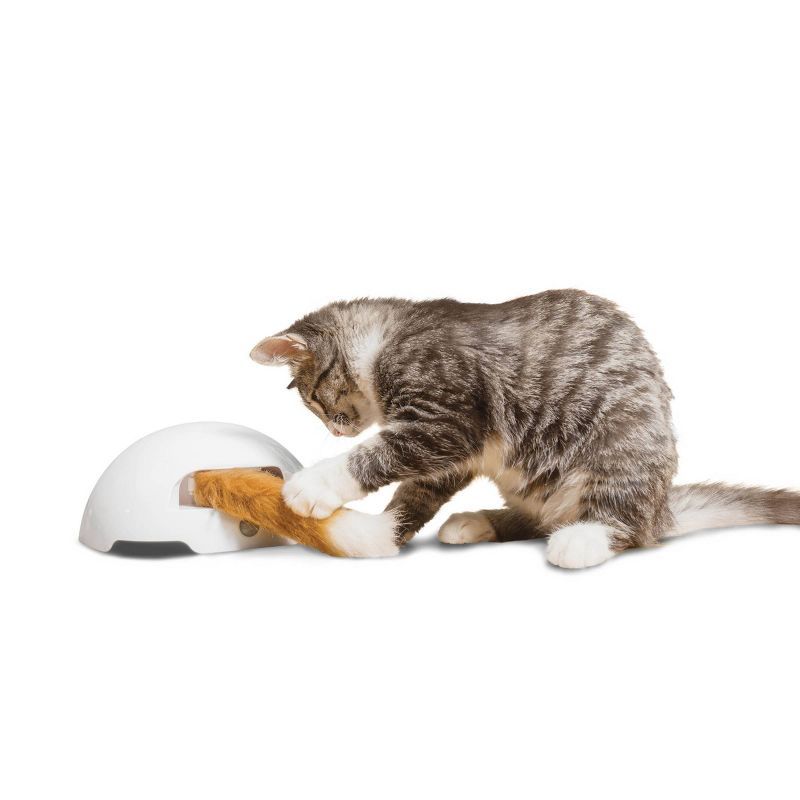 Premier Pet Fox Den Automatic Cat Toy - White | Target