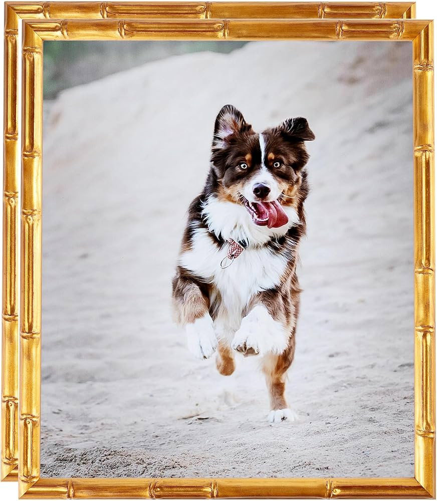 ArtToFrames 11x14 Inch Gold Picture Frame, 2 - Pack, This 0.75 inch Custom Wood Poster Frame is G... | Amazon (US)