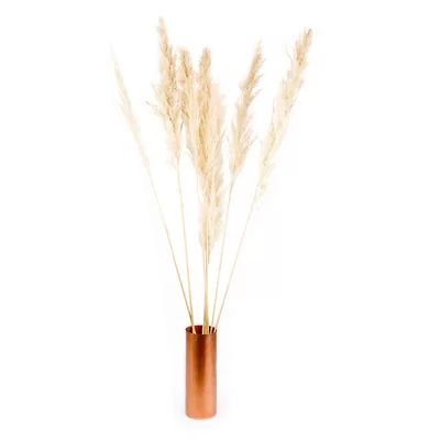 Real Dried Decor Plumes Pampas Grass Spray Gracie Oaks | Wayfair North America