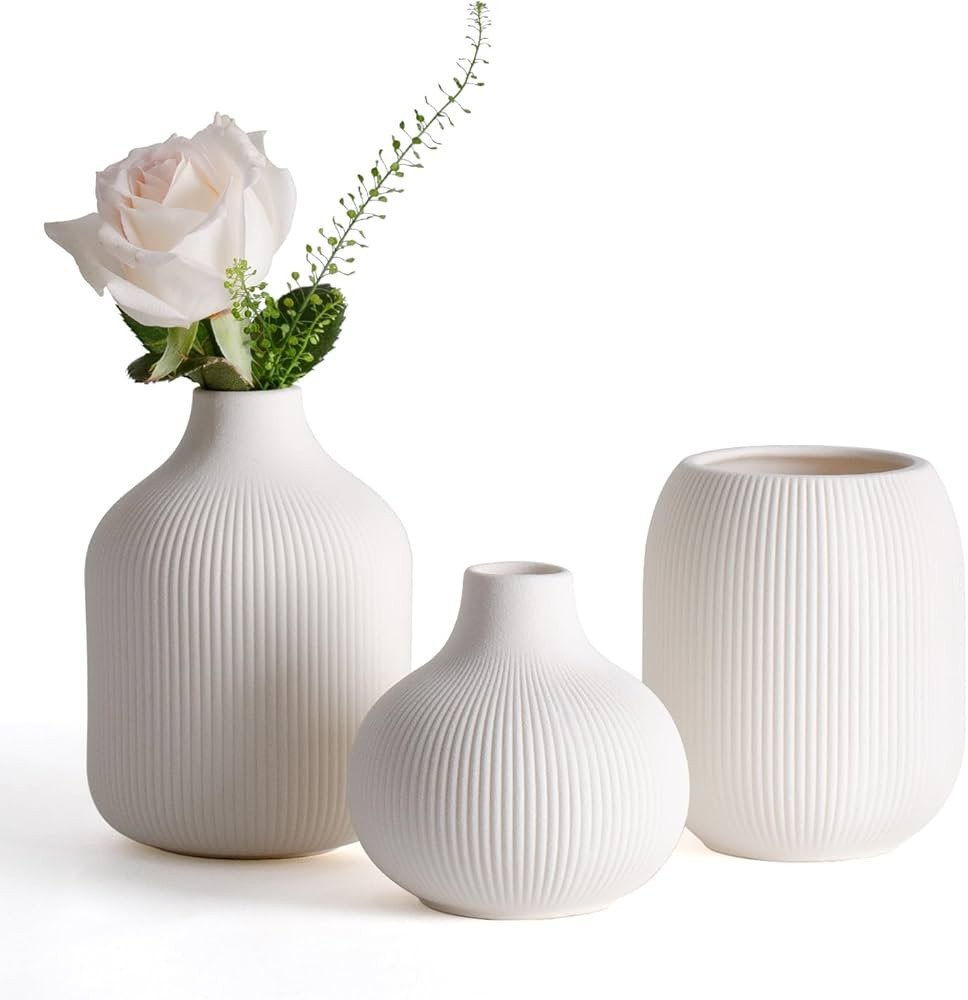 Modern White Ceramic Vase Set of 3, Ribbed Texture Boho Minimalist Home Decor, Small Decorative V... | Amazon (US)