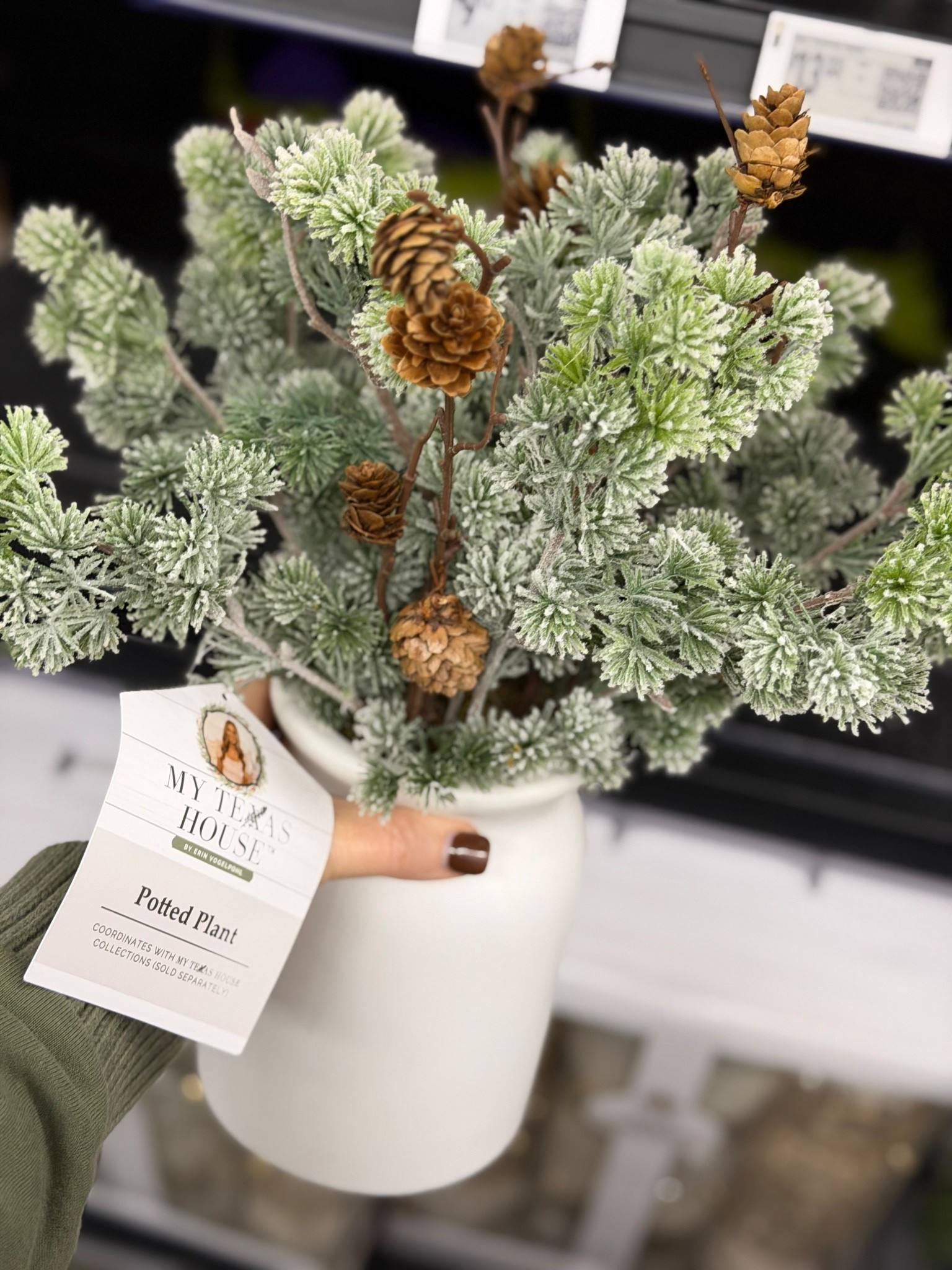Beautiful faux potted plant - keep it out all winter long 

#LTKHoliday #LTKSeasonal #LTKHome