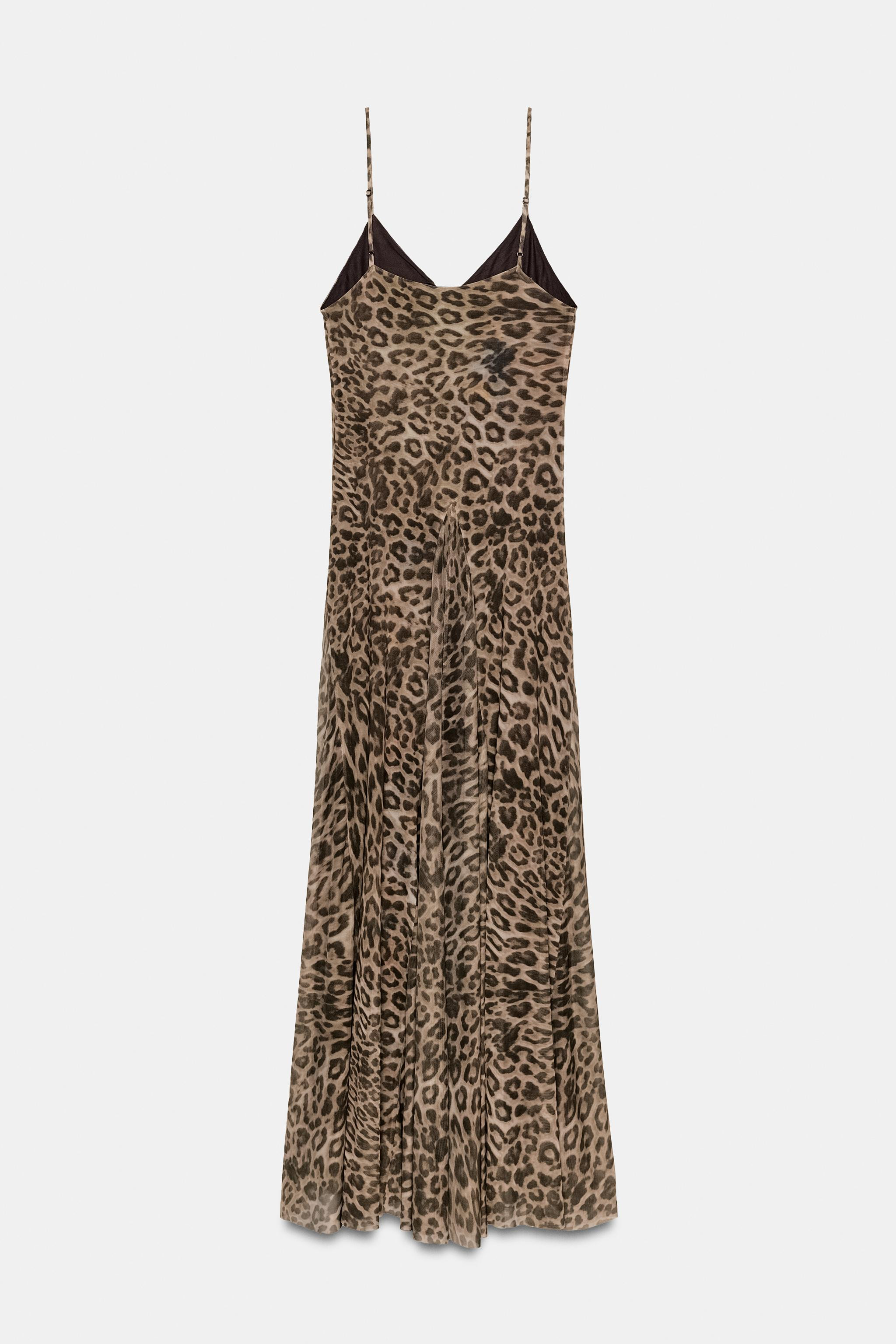 ANIMAL PRINT TULLE DRESS | Zara US