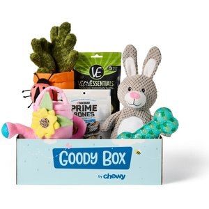 Goody Box Springtime Dog Toys & Treats, Small/Medium | Chewy.com