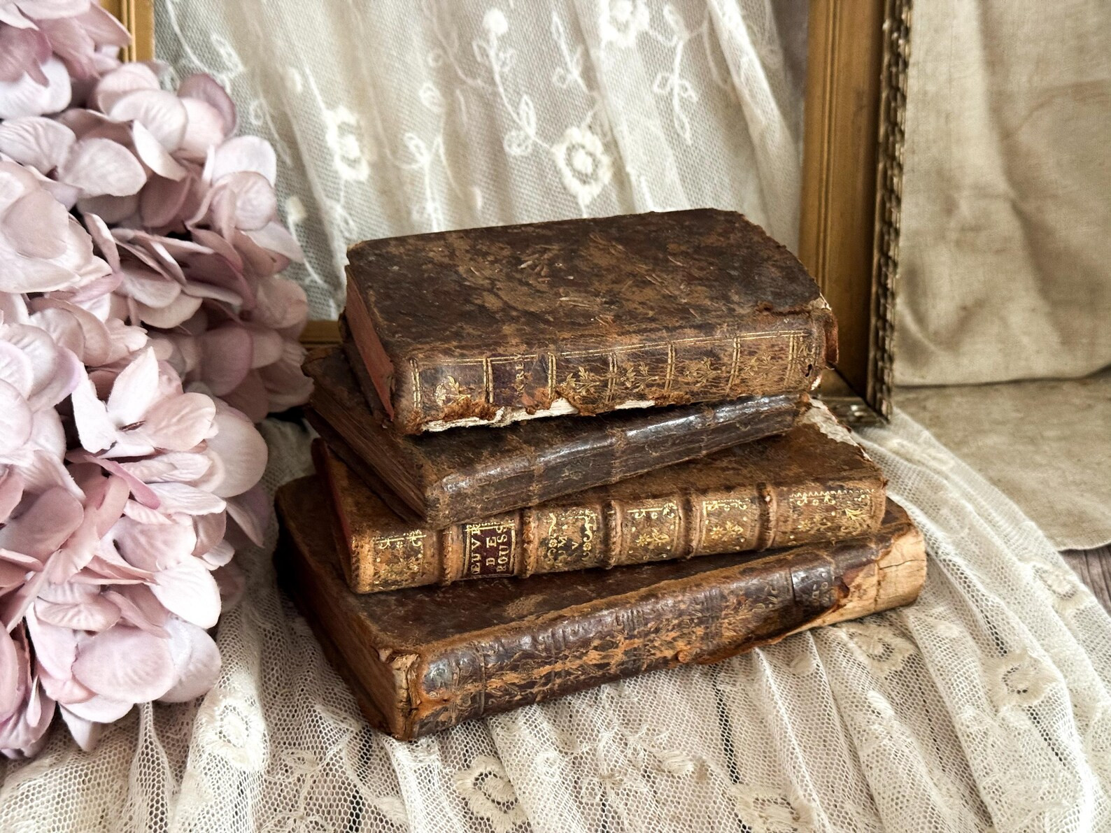 Set of 4 Antique French Leather Bound Books - Bookshelf Decor - 18th Century - Etsy | Etsy (US)