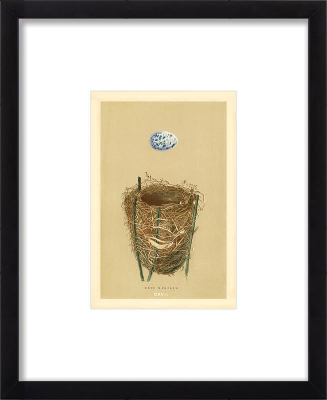 Nest 9 | Artfully Walls