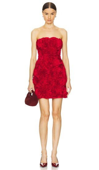 Gazer Rosette Mini Dress in Scarlet Red | Revolve Clothing (Global)