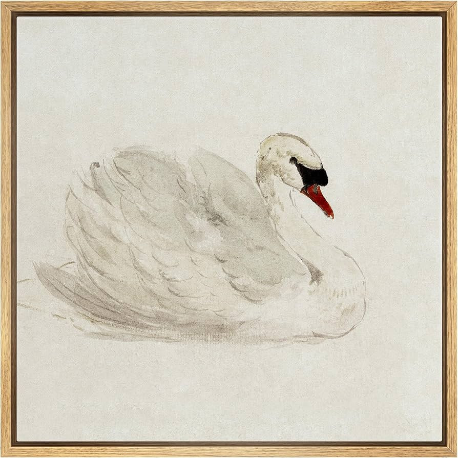 SIGNFORD Framed Canvas Print Wall Art Elegant Swan in Repose Vintage Watercolor Classic Nature Wi... | Amazon (US)