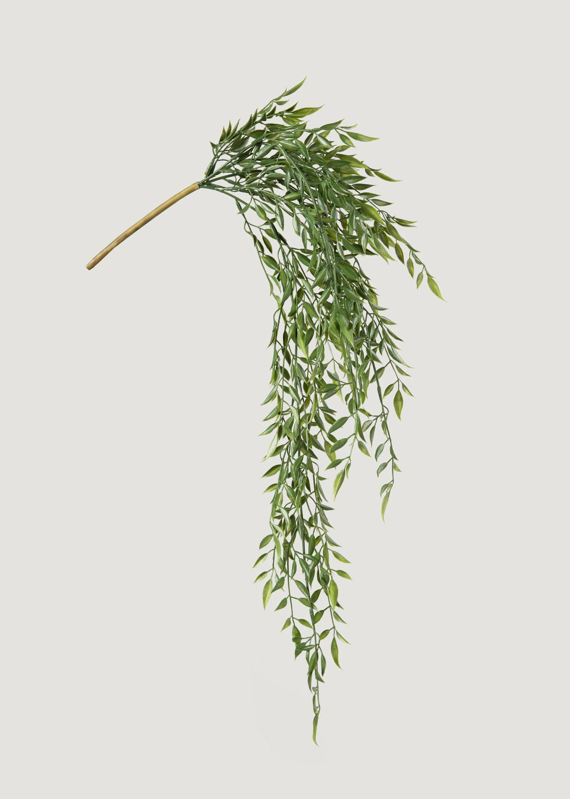 Faux Ruscus Branch | Artificial Hanging Plants | Afloral | Afloral