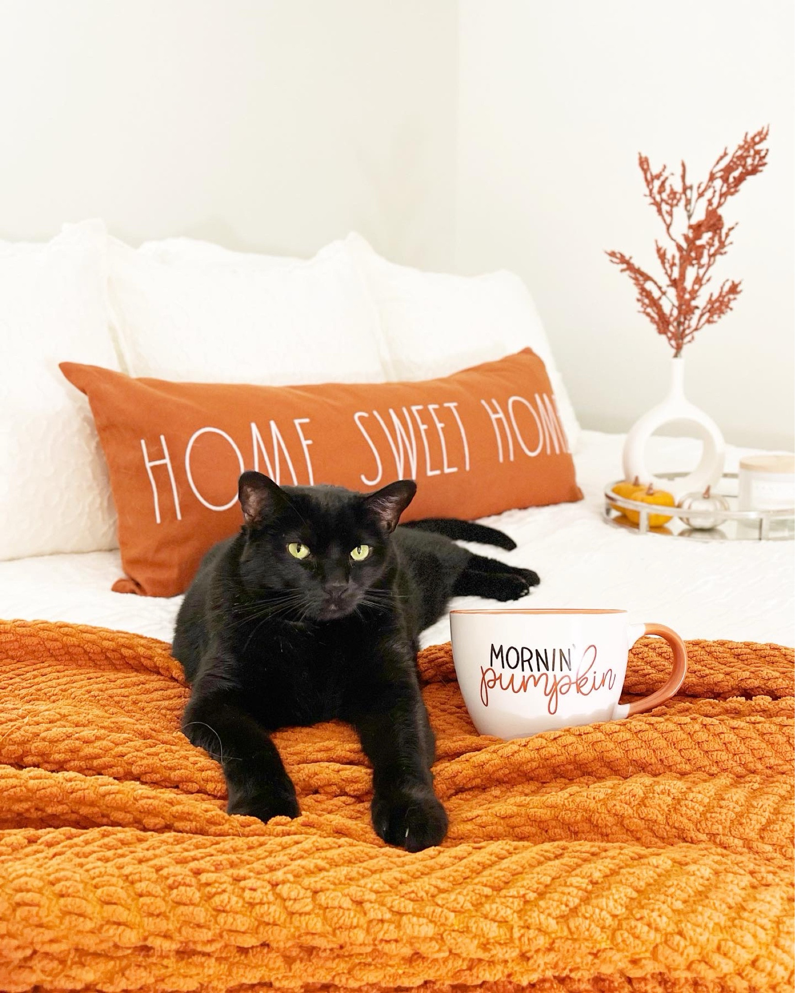 Cozy up your home with this fall decor! 🍂 Give a fall refresh to your bedroom or living room with this new fall bedding. 

Adding the burnt orange throw pillow and orange throw blanket to our neutral bedding was a simple, easy, and affordable way to refresh our bedroom + give it a fall feel. 

We added these same fall pillows and blankets to our couch in order to decorate the living room for fall. 

I added some fall accents like fall candles, mini pumpkins, and fall stems inside a ceramic vase to our decorative tray. 

#LTKHome #LTKFindsUnder50 #LTKSeasonal