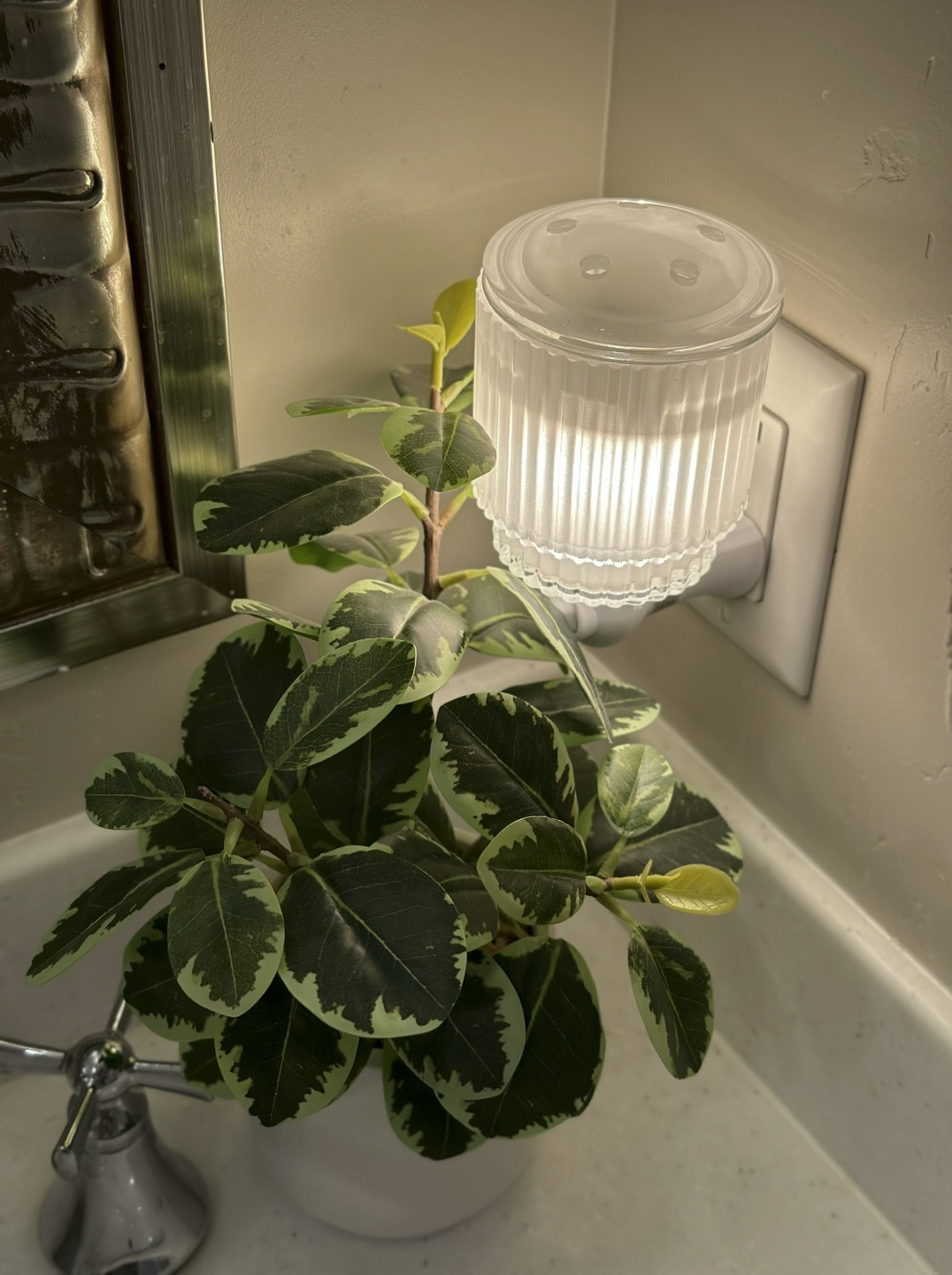 I love the simple elegance of this wax defuser! It will look stylish with any style of home! Plus the aroma of eucalyptus wax is just fresh and relaxing 🙌🏻✨🏡

#homesweathome #waxwarmer 
#relaxing #homearoma

#LTKHome #LTKVideo #LTKStyleTip