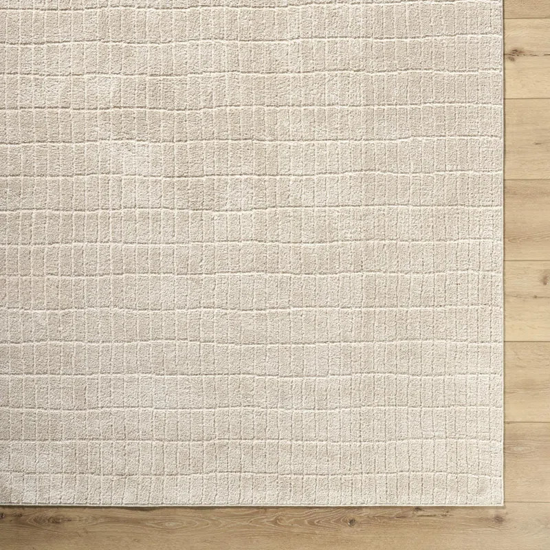 Our PNW Home x Livabliss Boho Scandi High Pile Light Beige Area Rug | Wayfair North America