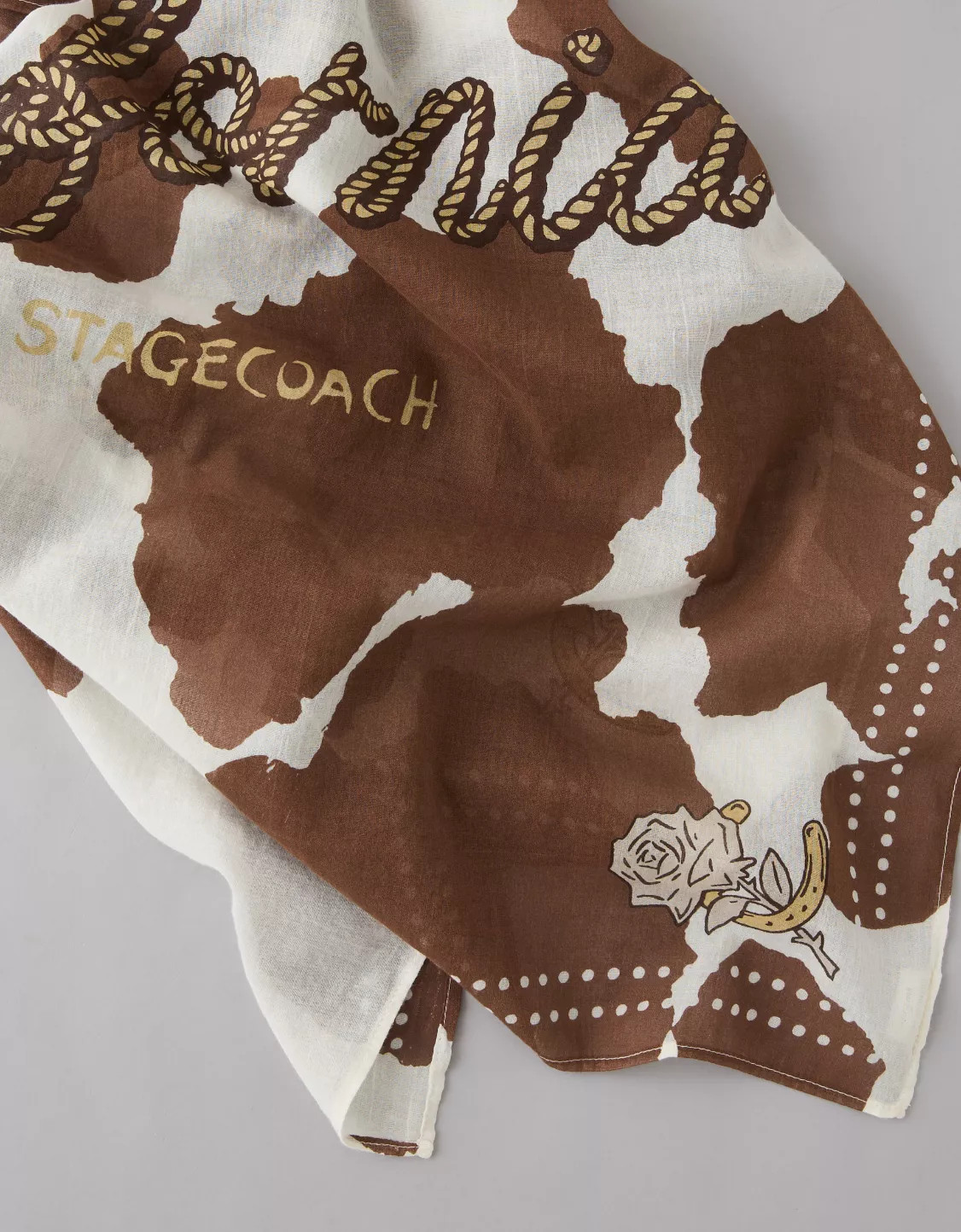 AE x Stagecoach Bandana | American Eagle Outfitters (US & CA)