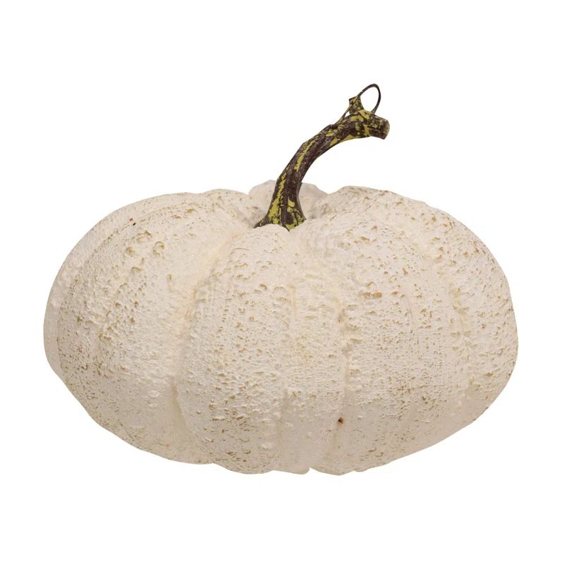 The Holiday Aisle® Full Moon Pumpkin | Wayfair | Wayfair North America