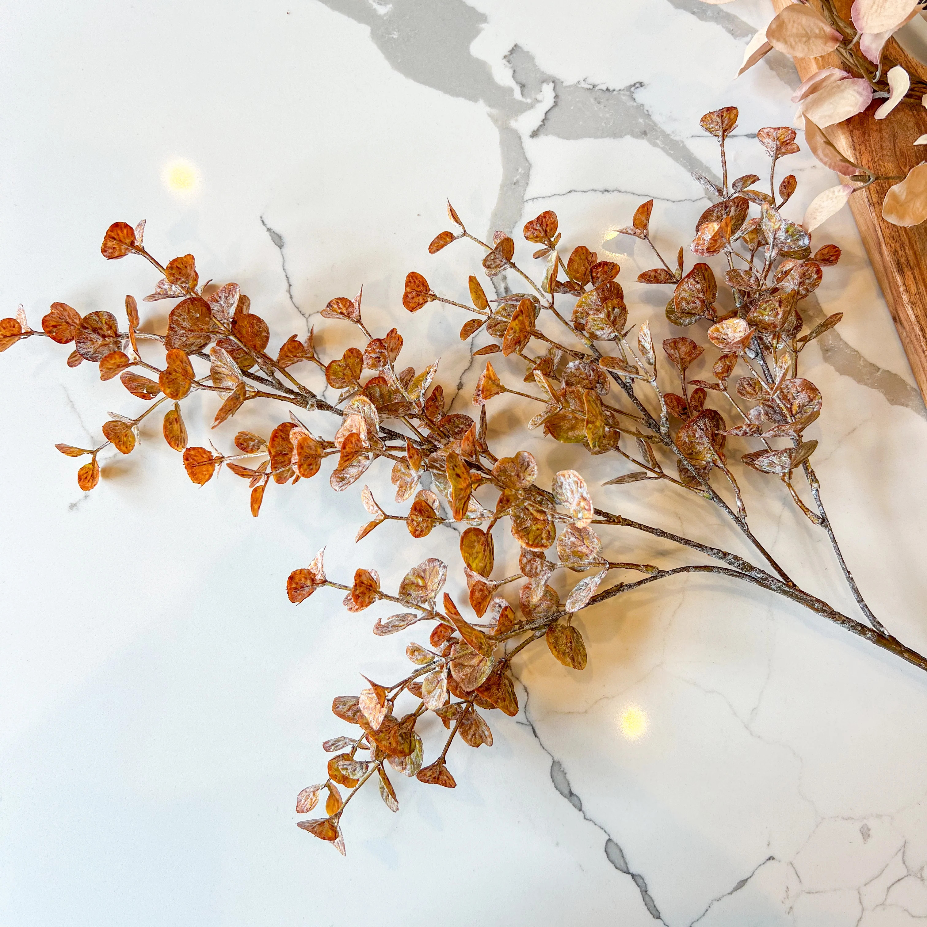 Brown Eucalyptus Stem | Whitewashed Faux Fall Floral Branch | MJHome