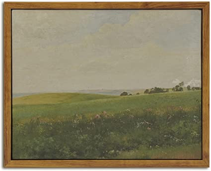 InSimSea Farmhouse Wall Art Decor Vintage Grassland Painting Prints, Framed Canvas Wall Art for L... | Amazon (US)