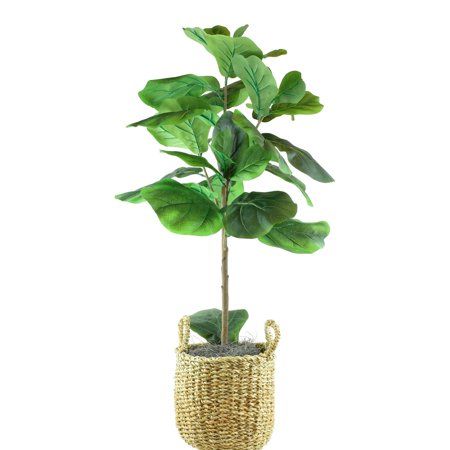 Fiddle Leaf Fig Tree in Basket Plant Type: Artificial Base Type: Basket | Walmart (US)