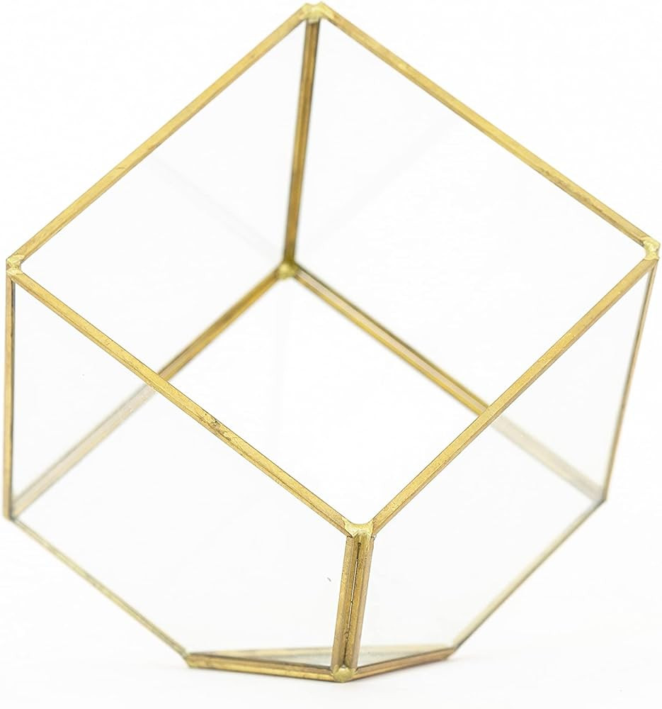 Heptahedron Geometric Glass Terrarium - Air Plant Tillandsia Holder - Home and Garden Decor Plant... | Amazon (US)