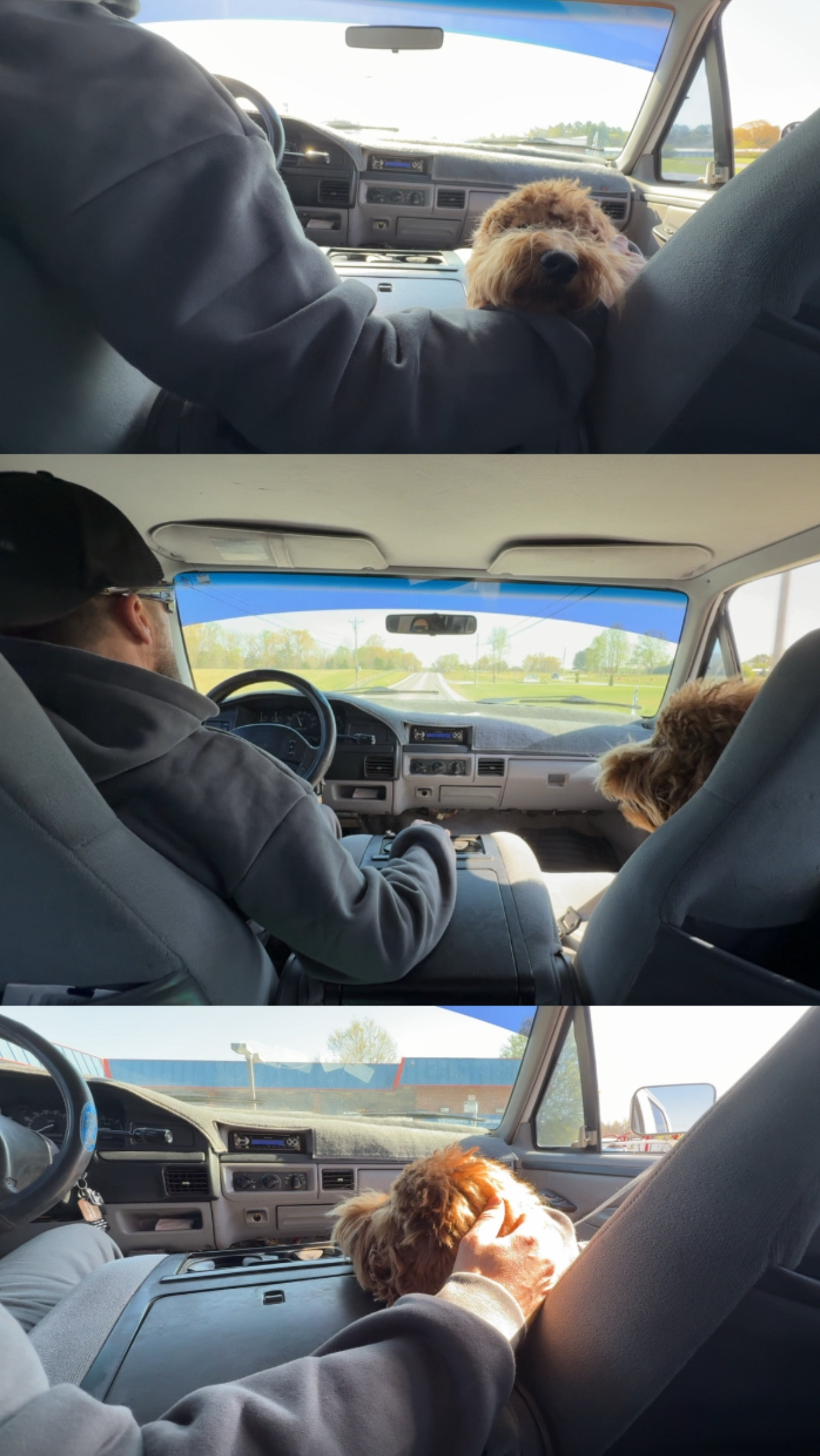 Happy PAWTHER’s DAY 🐾🤎 #Comfrt

#fathersday #fathersdaygift #giftidea #giftideaforhim #dogclothing #comfycozy 

#LTKPets #LTKMens #LTKGiftGuide