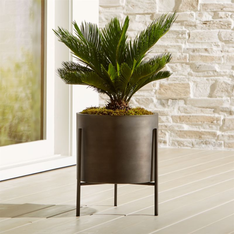 Dundee Indoor/Outdoor Bronze Low Planter with Stand + Reviews | Crate & Barrel | Crate & Barrel