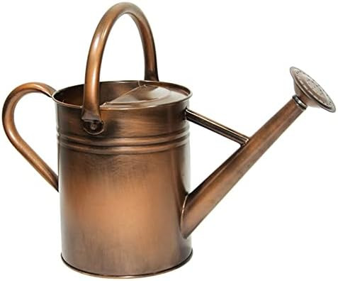 Galvanized Metal Watering Can, One Gallon Watering Cans for Outdoor Indoor Garden Plants Watering... | Amazon (CA)