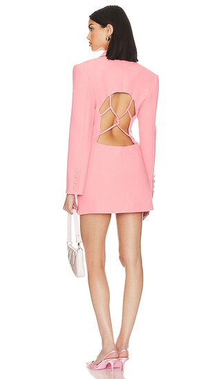 Blu Dress In Azalea Pink | Revolve Clothing (Global)