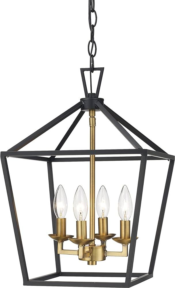 Trans Globe Lighting Lacey 4-Light Cage Pendant, Black/Antique Gold, 10264 BK/AG | Amazon (US)