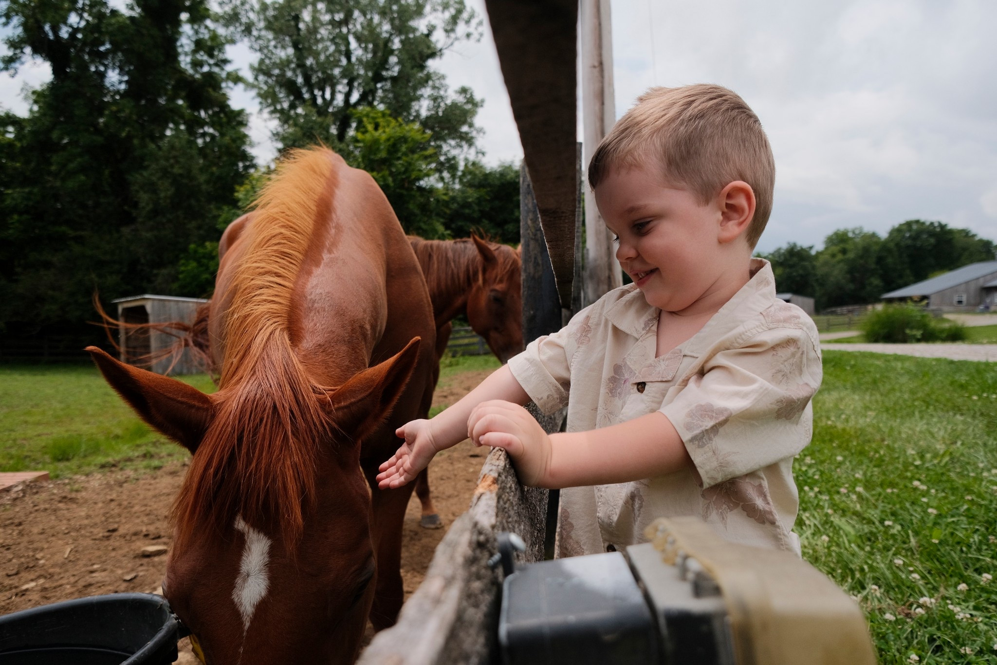 Happy Sunday! Spent the weekend back home in KY and Beau got to meet all the new horses!! Plus went to my childhood church this morning ♥️🐴 (Ruby MIGHT be coming to TN)