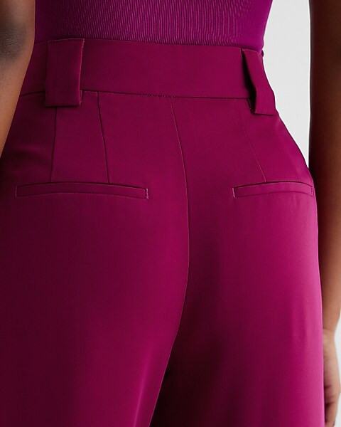 Stylist High Waisted Pleated Wide Leg Pant | Express