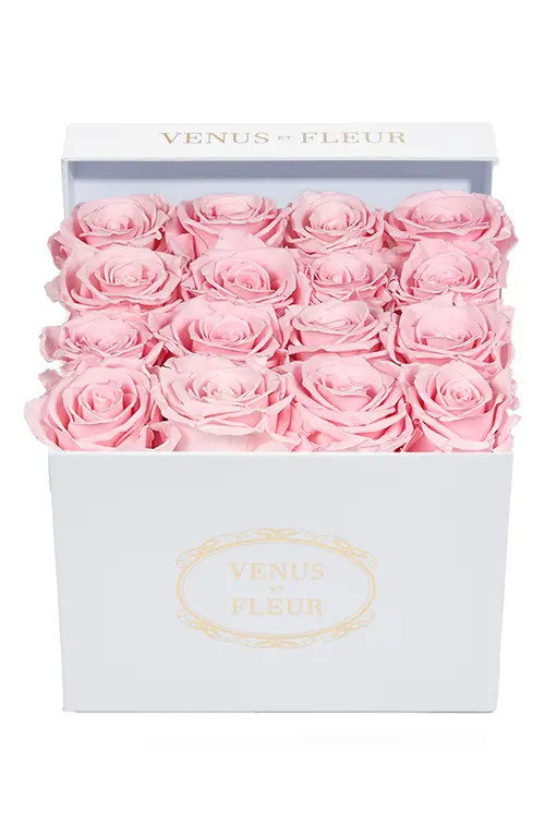 Venus ET Fleur Classic Small Square Eternity Roses in Pink at Nordstrom | Nordstrom