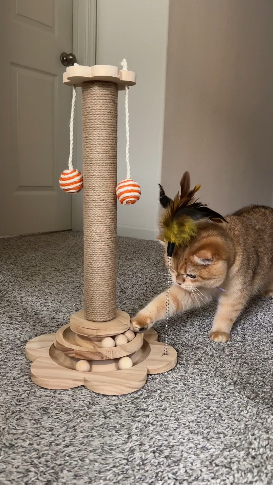 This 3 in 1 cat scratch post keeps my curious cat busy! 

#LTKHome #LTKmomlife