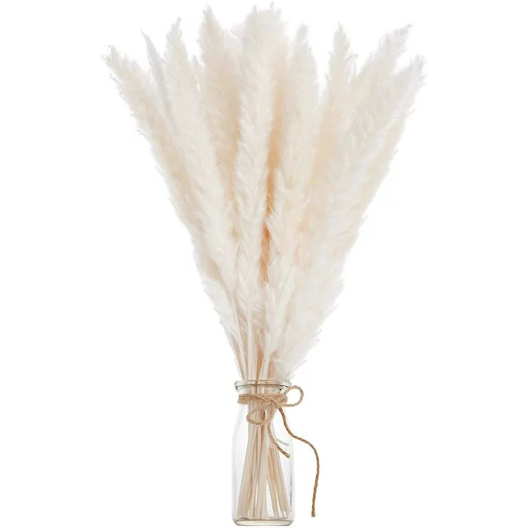 Barka Ave Natural Dried Pampas Grass Decor, 30pcs White Phragmites Communis Natural Dried Plant f... | Walmart (US)
