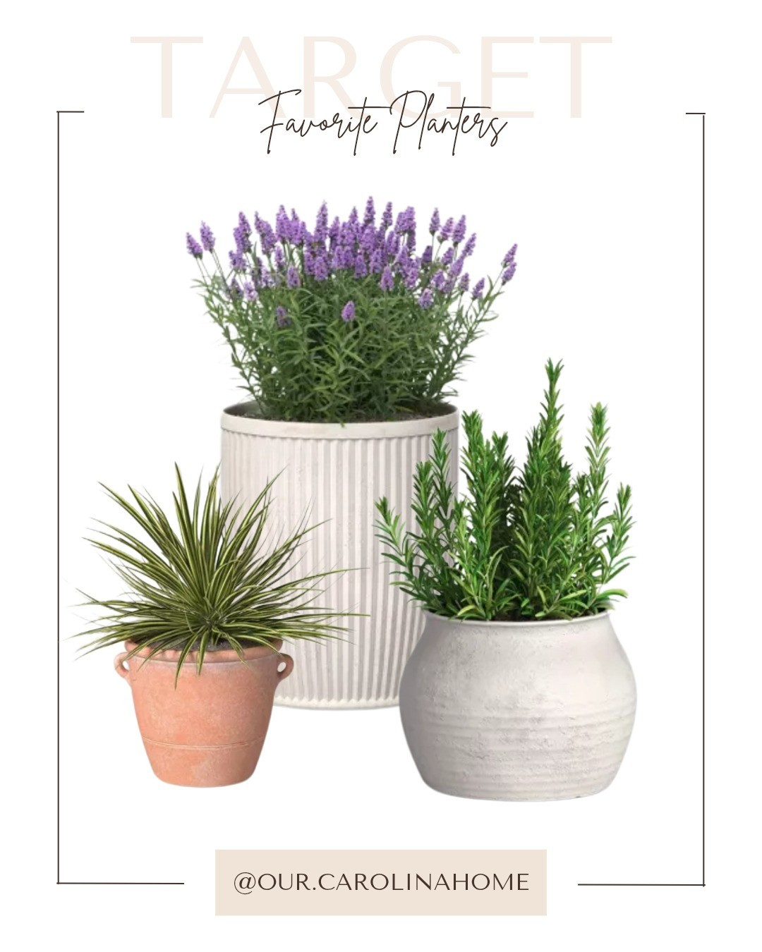 New indoor or outdoor planters from Threshold with Target on sale. Pottery barn dupe. Daily deals. Spring porch and patio refresh 

#LTKHome #LTKFindsUnder50 #LTKSaleAlert
