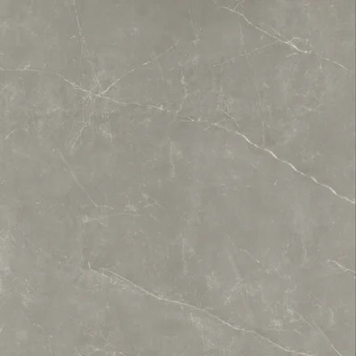 Sterlina II Silver 24 in. x 24 in. Polished Porcelain Floor and Wall Tile (15.5 sq. ft./Case) | Wayfair North America