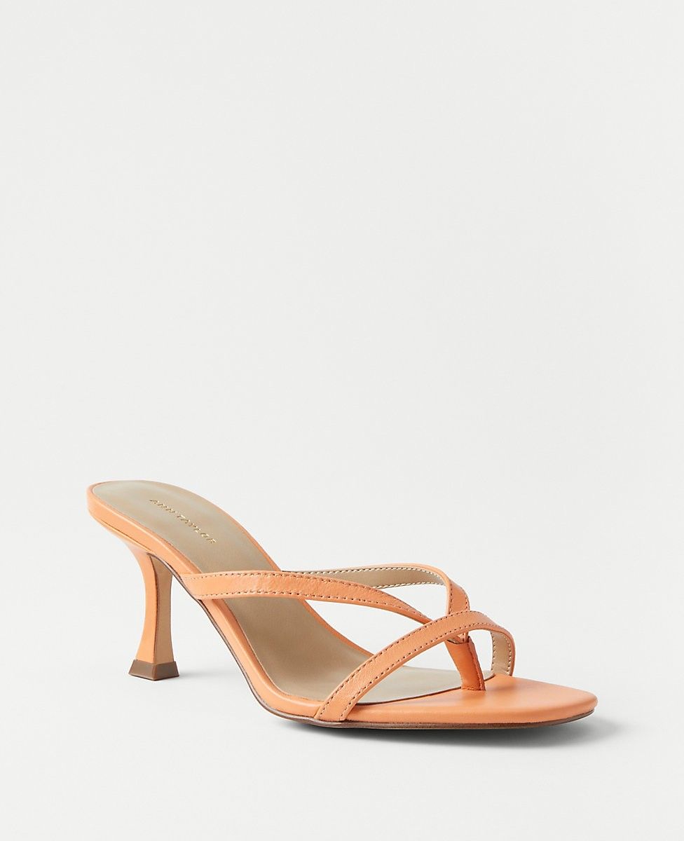 Leather Strappy Mule Sandals | Ann Taylor (US)