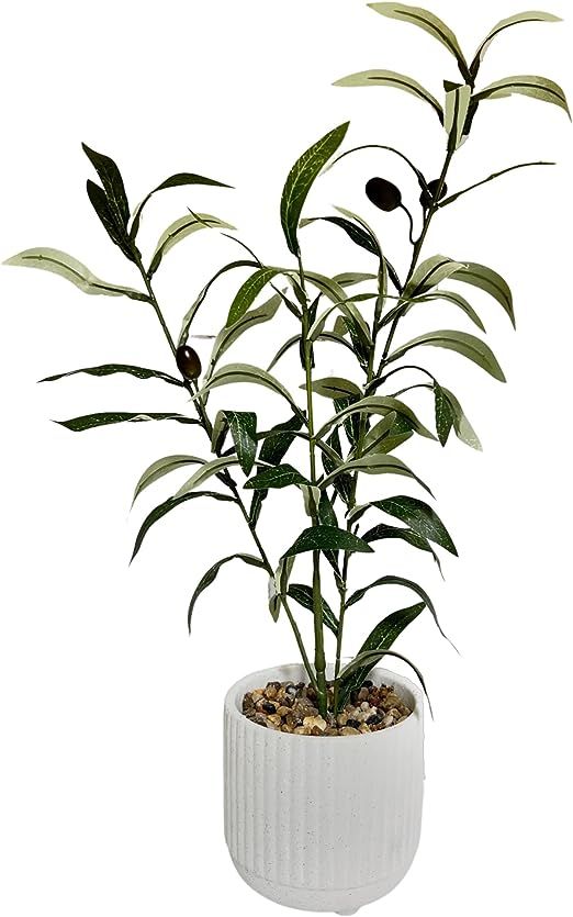 Faux 19" Tall Olive Plant for Home Decor with Realistic Olive Leaves and Sand Texture Pot for Roo... | Amazon (US)
