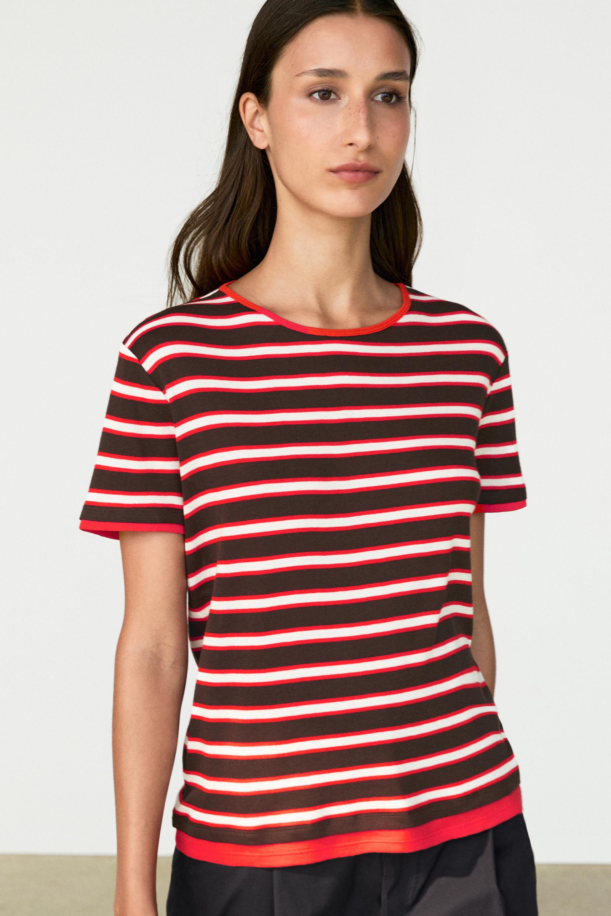 Gestreiftes Baumwoll-T-Shirt | Massimo Dutti DE