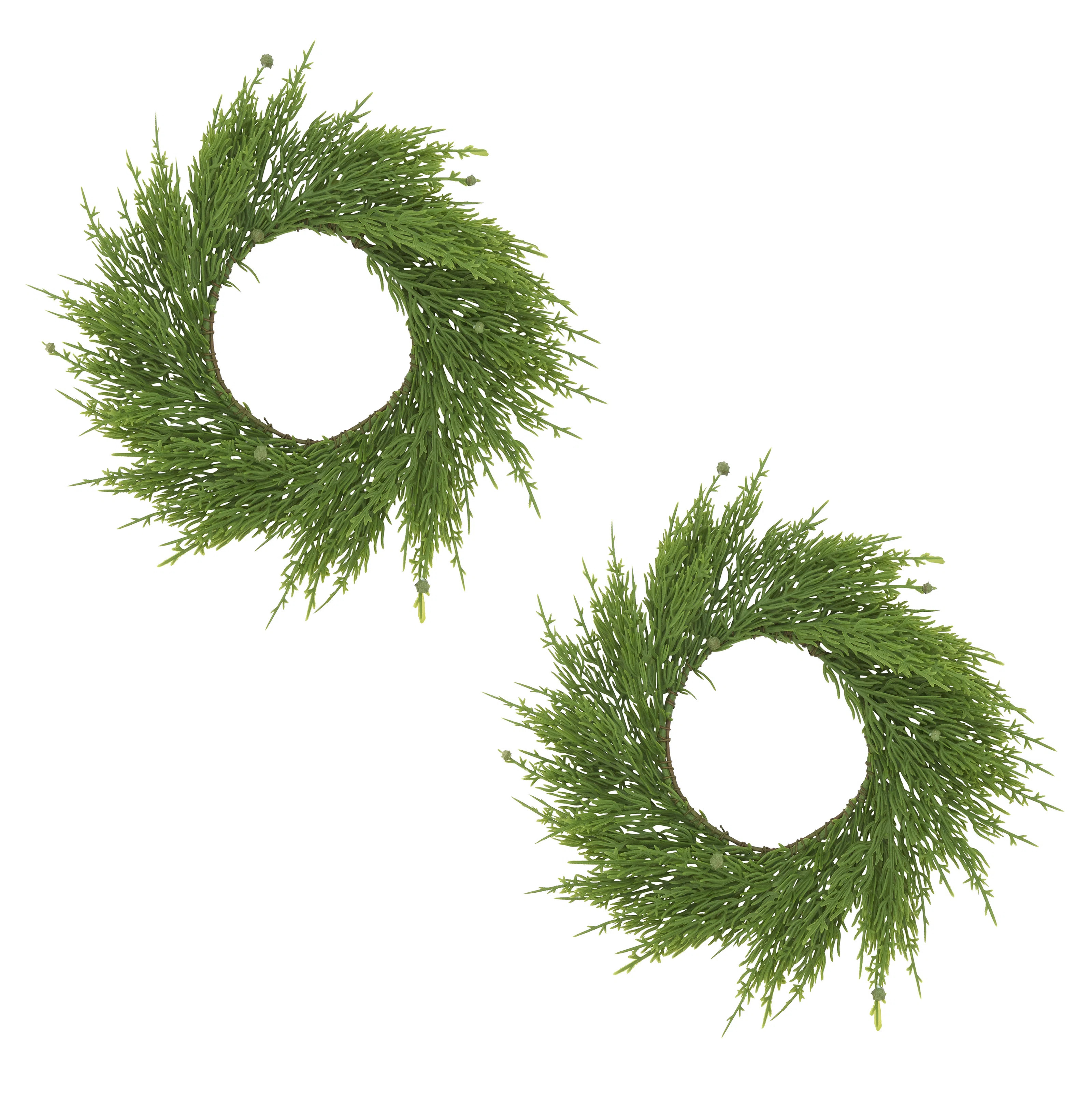 Cricklade Cypress Wreath (Set of 2) | Wayfair North America