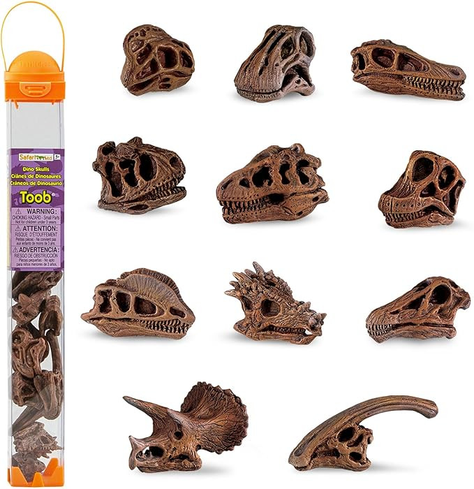 Safari Ltd Dinosaur Skulls TOOB - 11 Mini Figurines Including Velociraptor, Brachiosaurus, Ovirap... | Amazon (US)
