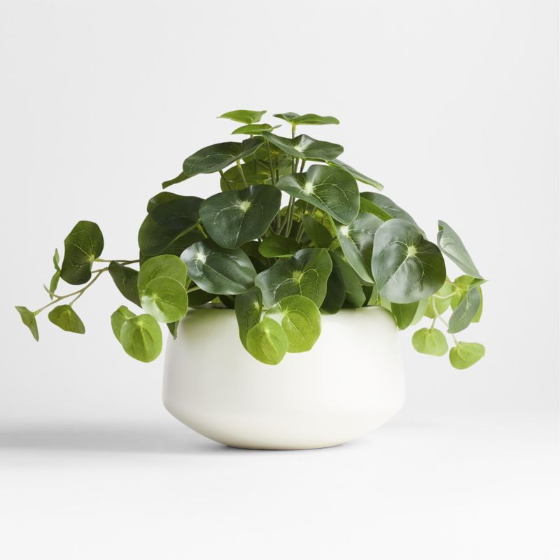 Potted Faux Pilea Plant in White Pot + Reviews | Crate & Barrel | Crate & Barrel
