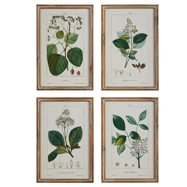 Framed Botanicals Wall Art Set of 4 | Antique Farm House