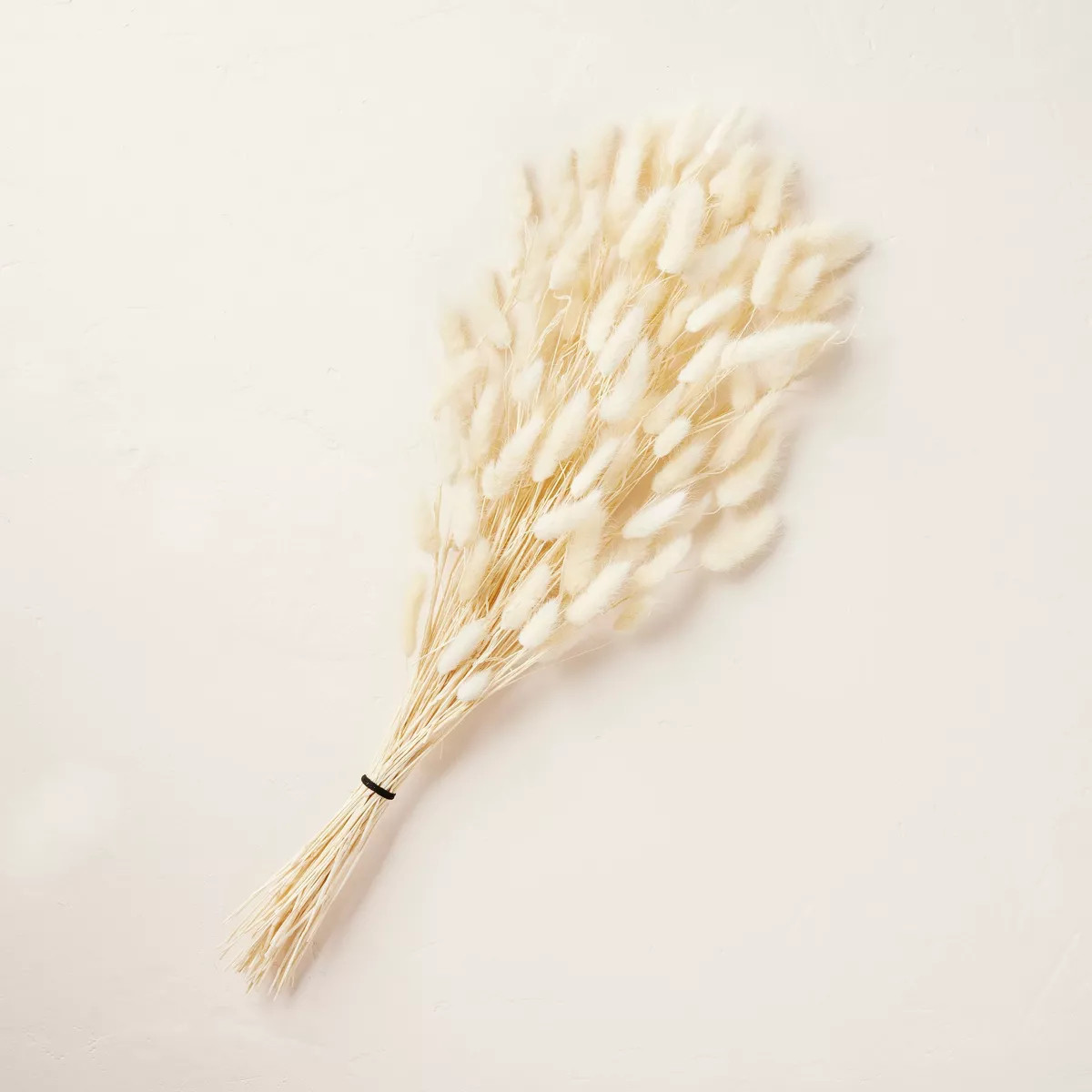 24" Preserved Cream Bunny Tail Grass Stems Bundle - Hearth & Hand™ with Magnolia | Target