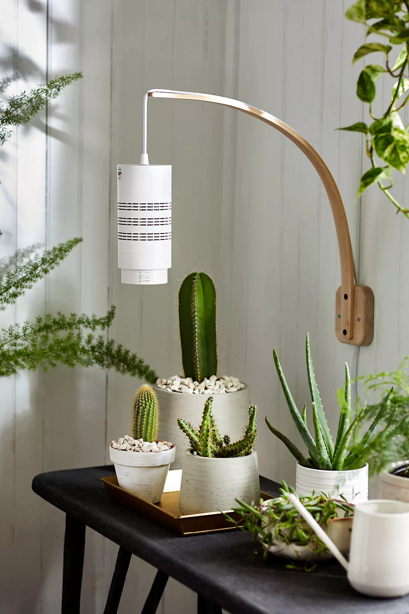 Grow Light Pendant | Anthropologie (US)