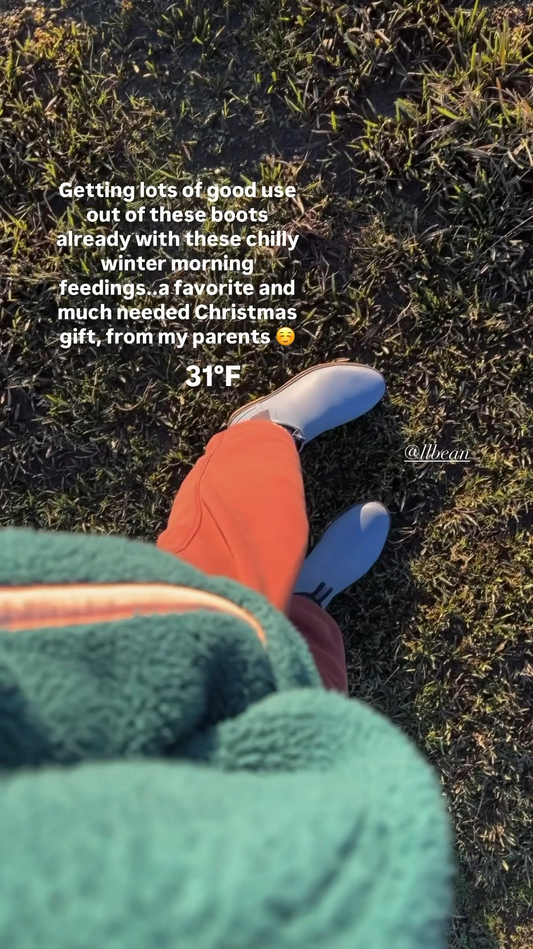 Cute Winter rain boots on sale! ❄️☔️💙 



farm boots, wellies, wellie Chelsea boot 

#LTKSeasonal #LTKFindsUnder100 #LTKShoeCrush