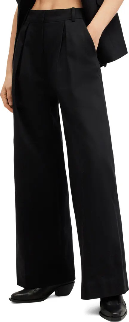 AllSaints Hally Pleat Front Wide Leg Pants | Nordstrom | Nordstrom