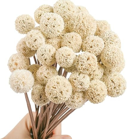 30 PCS Natural Dried Craspedia Billy Balls Flowers, 17” Dried White Flowers Buttons Bouquet for... | Amazon (US)
