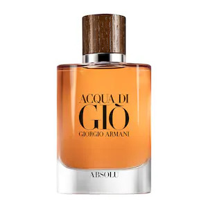 Acqua di Gio Absolu | Sephora (US)